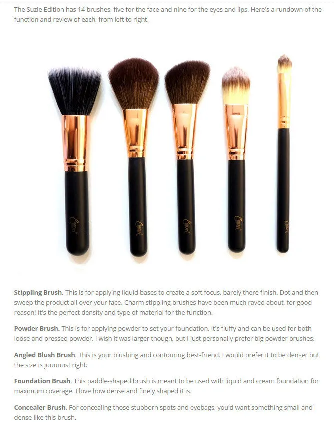 Charm Travel Pro Set " Suzie Edition" -Beauty around the World