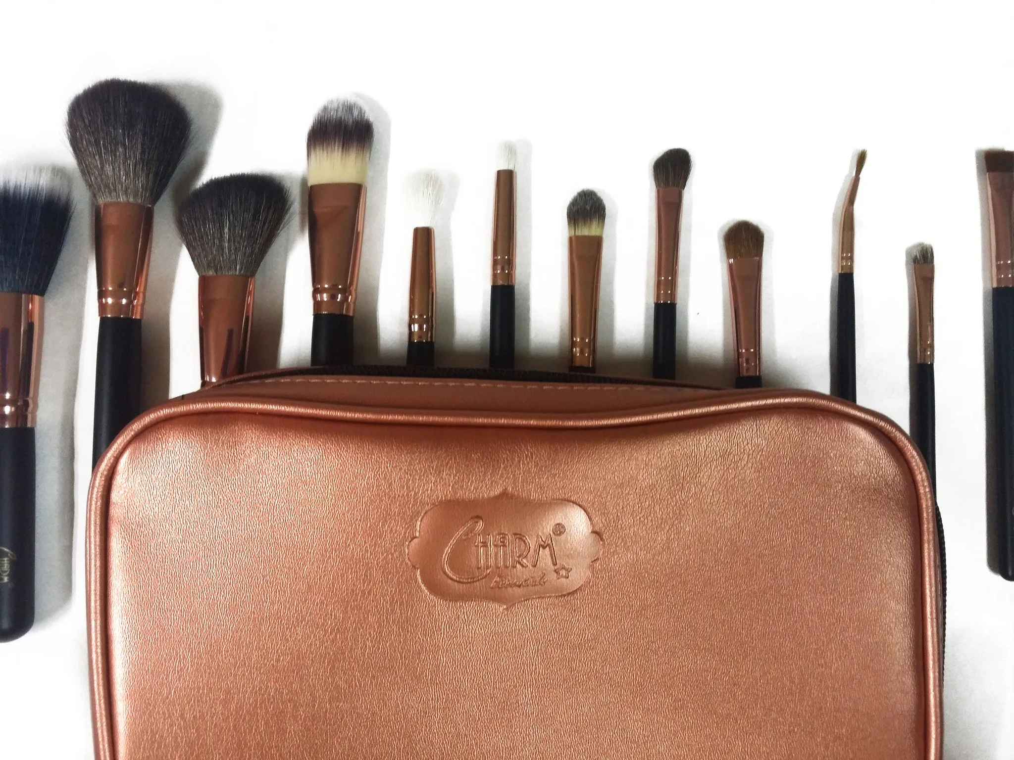 Charm Travel Pro Set " Suzie Edition" -Beauty around the World